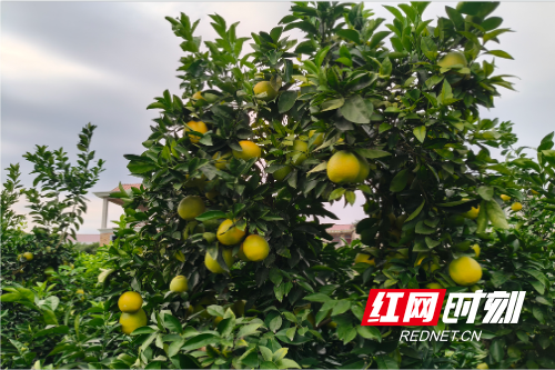 QQ20251027-225340.png QQ20251027-225340.png