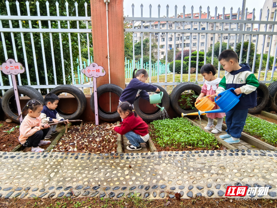 微信图片_20251028163245_1906_5.jpg 微信图片_20251028163245_1906_5.jpg