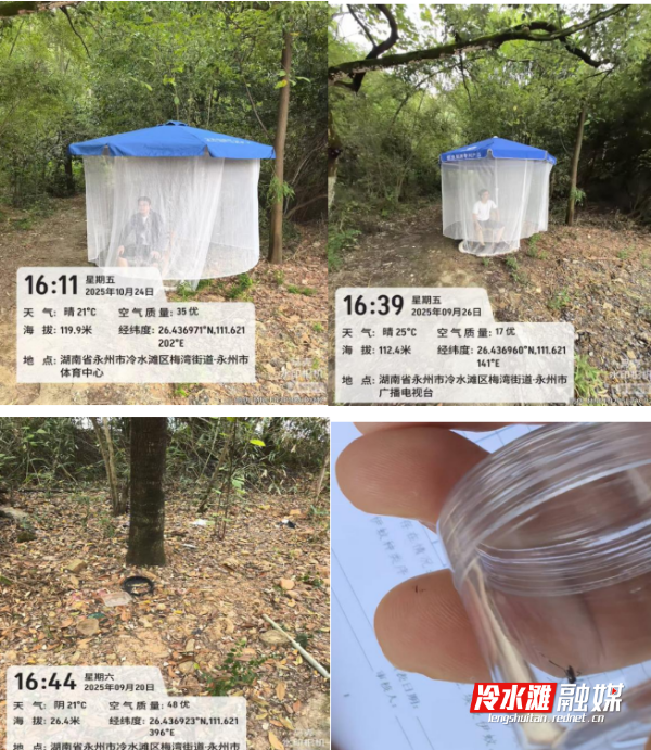 7906289d-5cf6-44fb-8f99-7e3509135f5a.png 7906289d-5cf6-44fb-8f99-7e3509135f5a.png