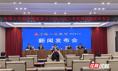 同比增长5.7% 湖南贷款增速同比为何小幅回落？