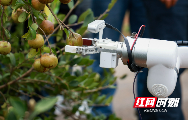 3Y2A0260.jpg 3Y2A0260.jpg