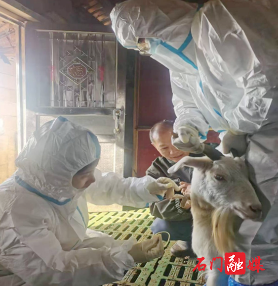 图片3.png 图片3.png