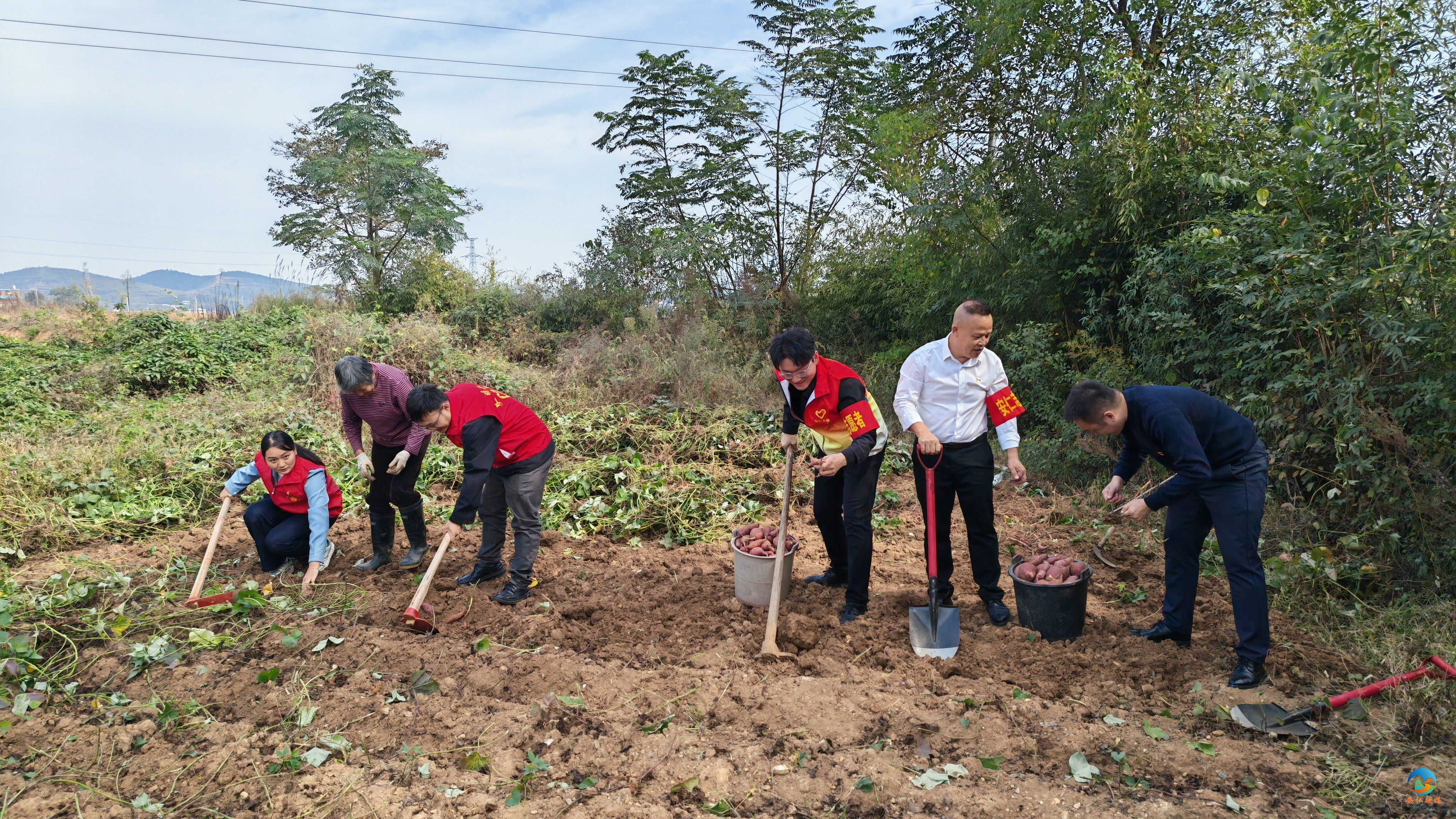 图片2.jpg 图片2.jpg