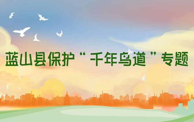 【专题】蓝山县保护“千年鸟道”