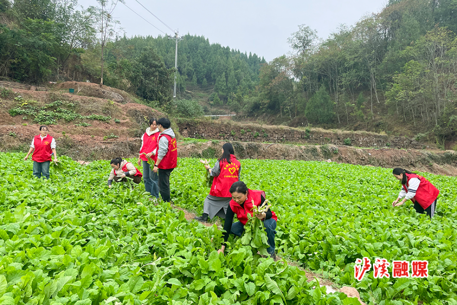 乡村振兴22312 (1).jpg 乡村振兴22312 (1).jpg