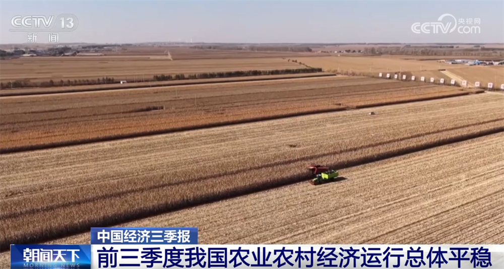 透过数据看前三季度“三农”成绩单 为经济社会高质量发展提供有力支撑