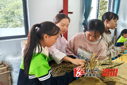 IMG20251027114321.jpg IMG20251027114321.jpg