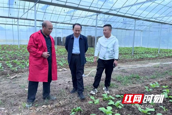 图片3_副本.jpg 图片3_副本.jpg