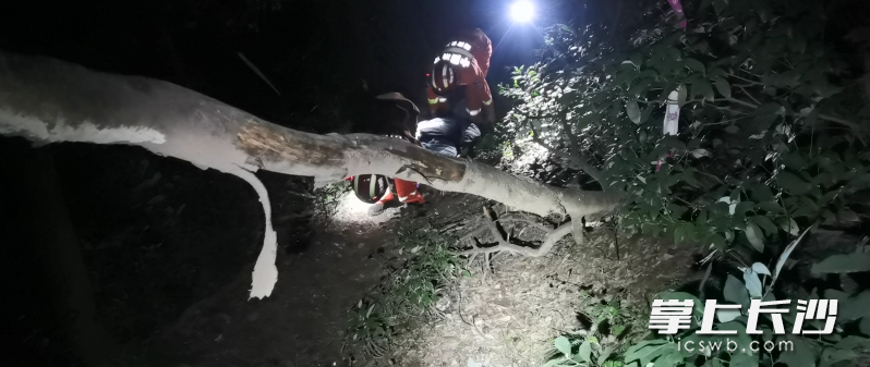 消防员正在营救伤者。