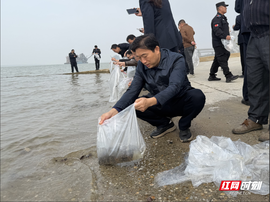 QQ20251031-130816.png QQ20251031-130816.png