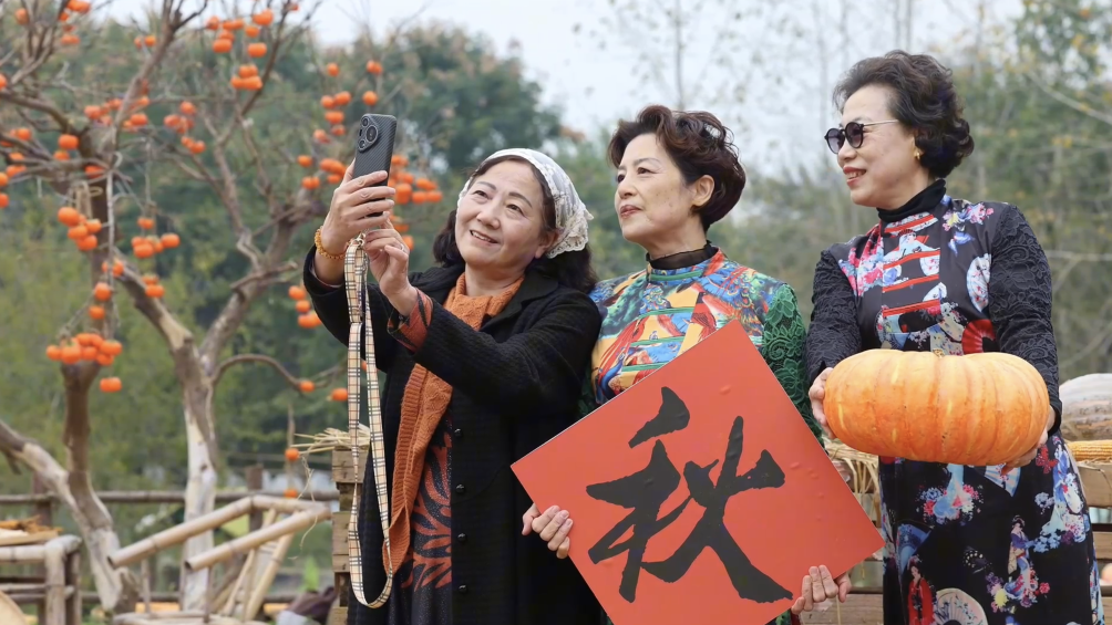 湖南城市新业态：“近郊晒秋” 打造秋收文化新场景
