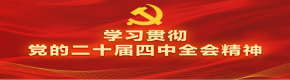 党的二十届四中全会