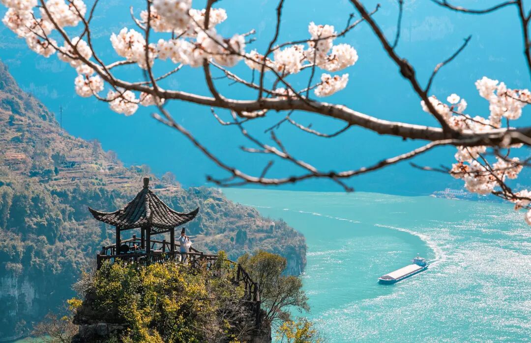 为什么选择中国丨长江：流动的文明史诗