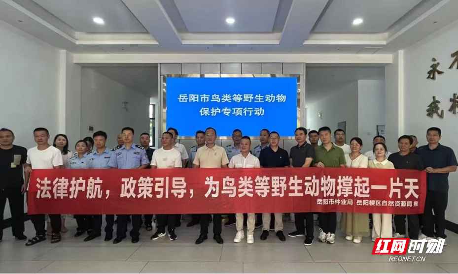 图片10.png 图片10.png