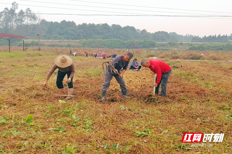 微信图片_20251031111530.jpg 微信图片_20251031111530.jpg