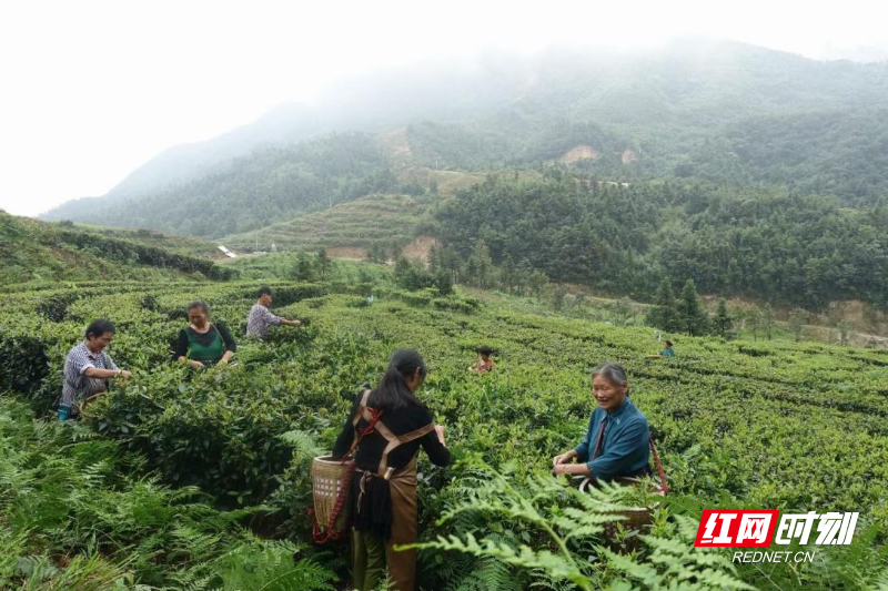 图片5.png 图片5.png