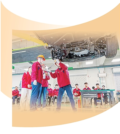 帮助大学毕业生找到坚实的职业道路（校园观察