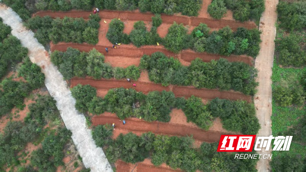 微信图片_20251016092033.jpg 微信图片_20251016092033.jpg