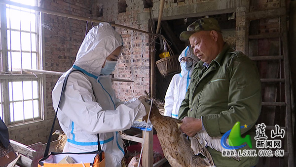 我县强化秋季动物防疫 筑牢畜禽“免疫屏障”.jpg