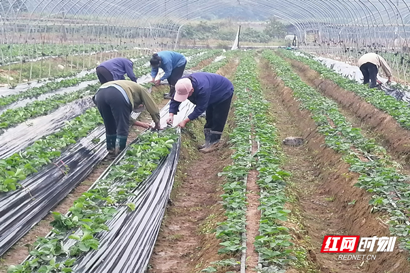 微信图片_20251104093730.jpg 微信图片_20251104093730.jpg