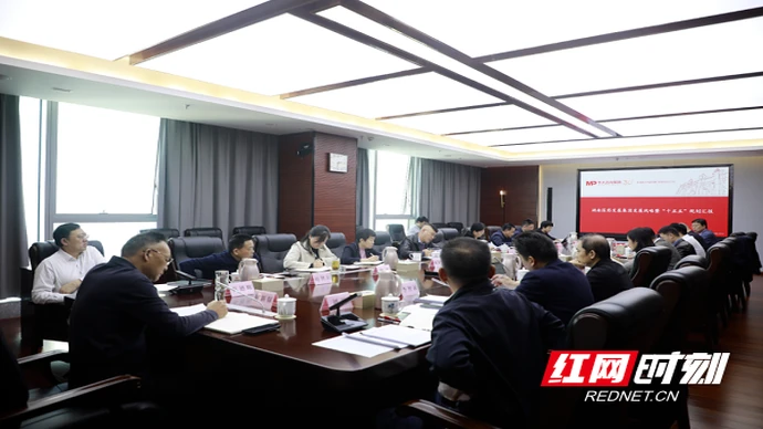 湖南医药发展投资集团召开发展战略暨“十五五”规划专题研讨会