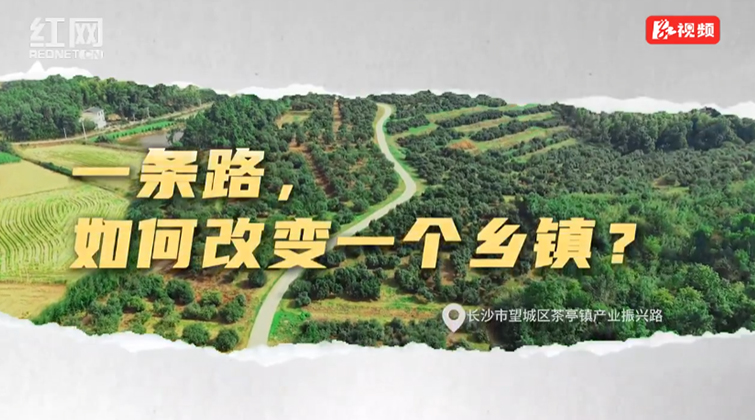 视频丨一条路如何改变一个乡镇？