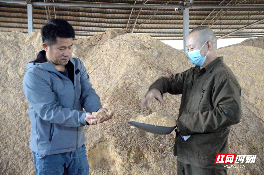 DSC_3153.JPG DSC_3153.JPG