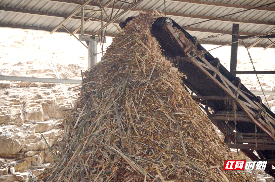 DSC_3149.JPG DSC_3149.JPG