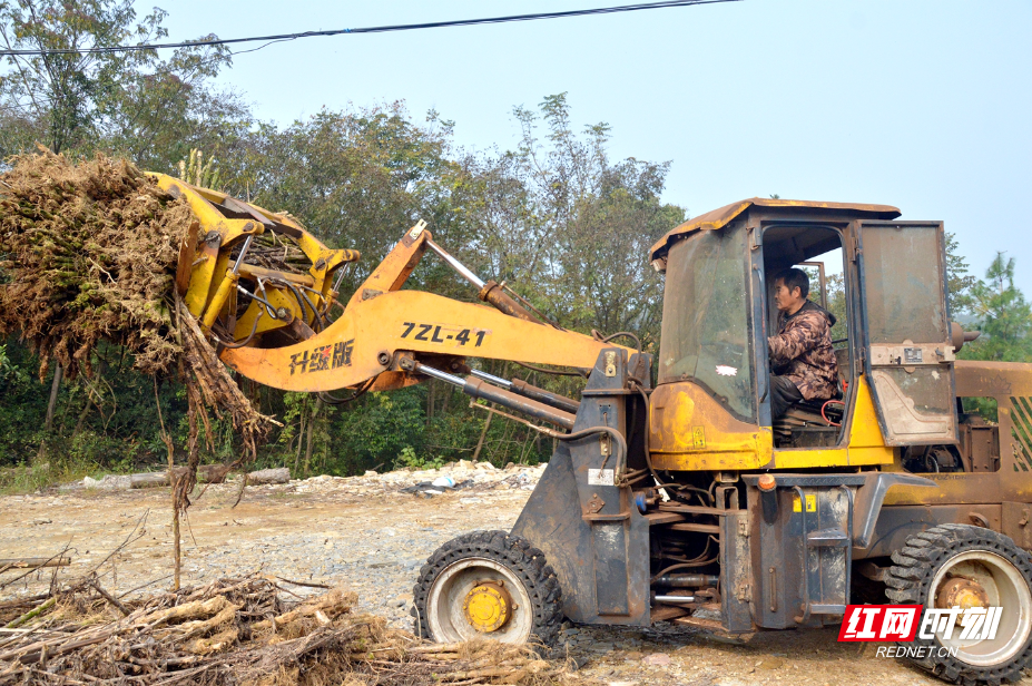 DSC_3142.JPG DSC_3142.JPG