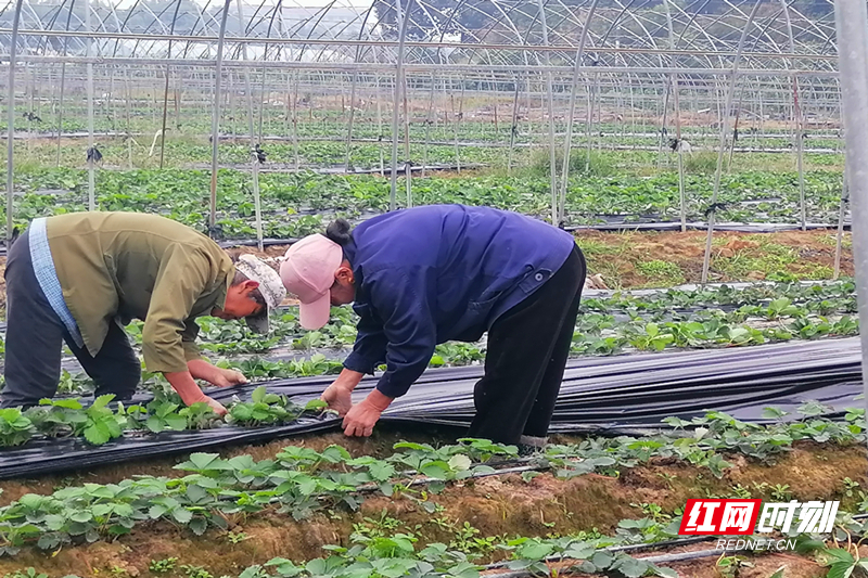 微信图片_20251104093747.jpg 微信图片_20251104093747.jpg