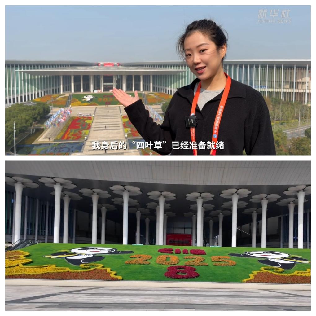 第八届中国国际进口博览会|中国国际进口博览会