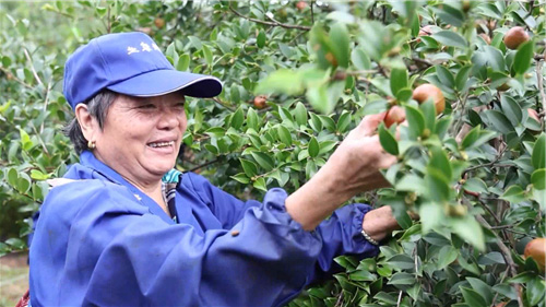 1762214758213554.jpg 1.jpg