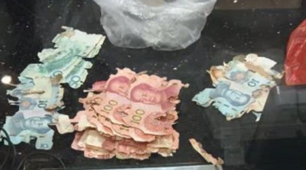 老人5000元人民币遭白蚁啃食 银行：已送金库鉴定兑换数额