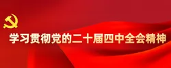 学习贯彻党的二十届四中全会精神