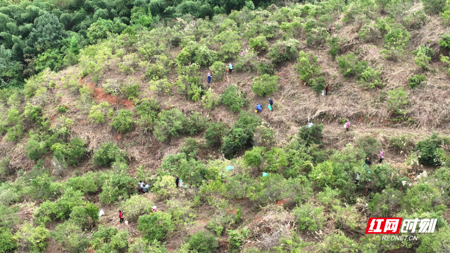 2_副本.jpg 2_副本.jpg