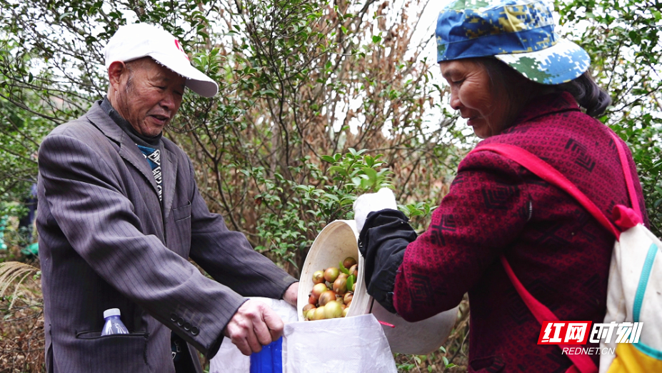 1_副本.jpg 1_副本.jpg