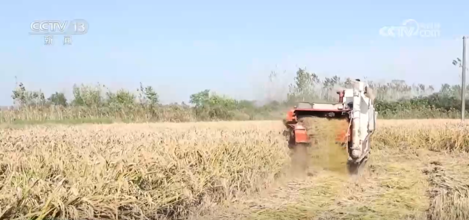 “农机+农技”助力秋收秋种 特色种养殖变身增收致富“金钥匙”