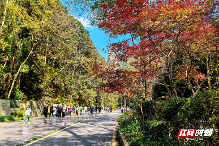 微信图片_20251105183355_186_112.jpg 微信图片_20251105183355_186_112.jpg