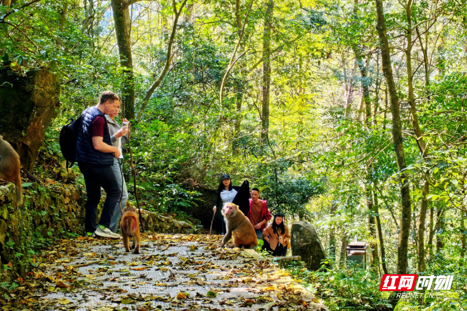 微信图片_20251105183355_187_112.jpg 微信图片_20251105183355_187_112.jpg