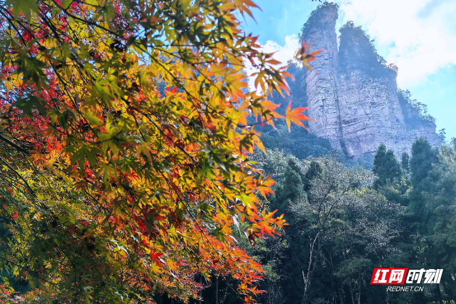 微信图片_20251105183354_185_112.jpg 微信图片_20251105183354_185_112.jpg