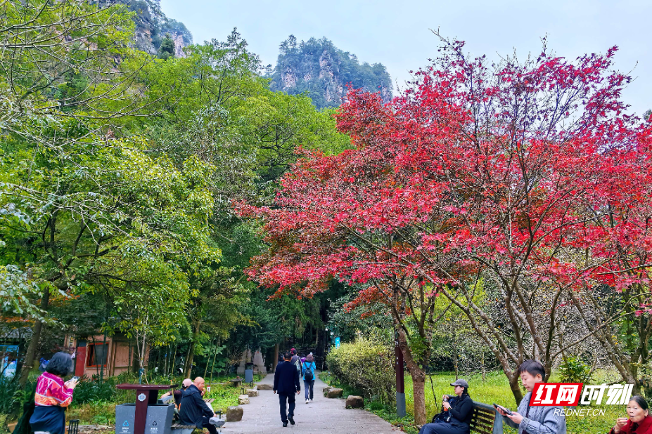 微信图片_20251105183353_184_112.jpg 微信图片_20251105183353_184_112.jpg