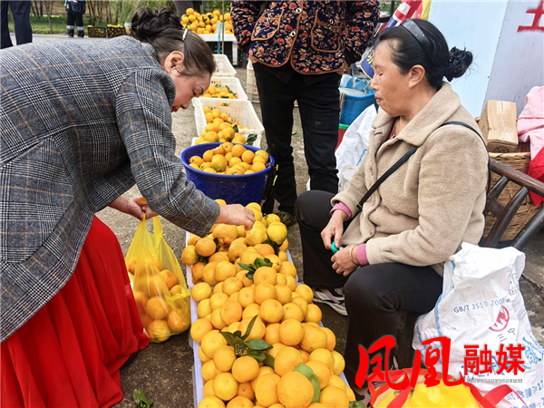 图片8.png 图片8.png