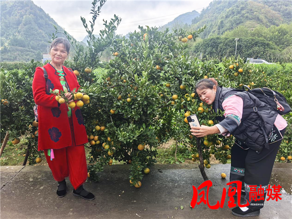 图片10.png 图片10.png