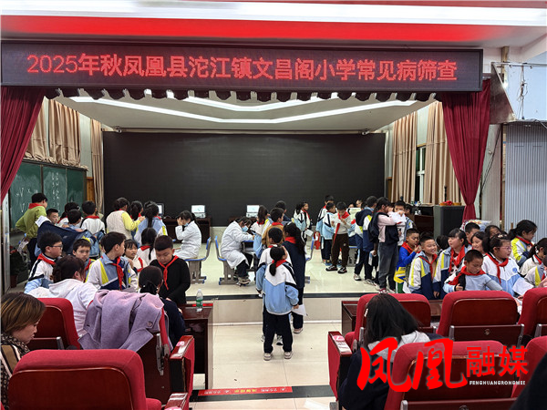 1762339303895.jpg 1762339303895.jpg