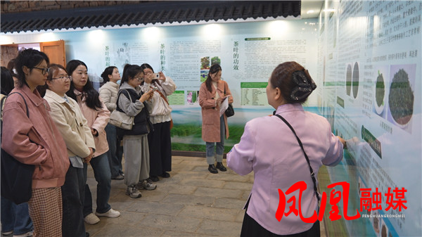 Still1106_00028.jpg Still1106_00028.jpg