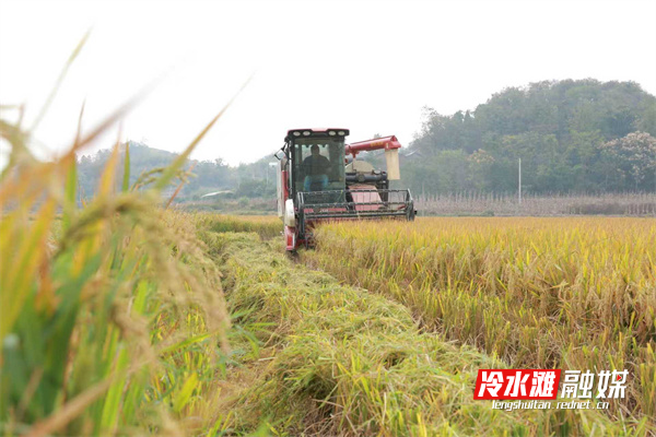 a1ca622893023a0690dcbb2356a29f6d.jpg a1ca622893023a0690dcbb2356a29f6d.jpg