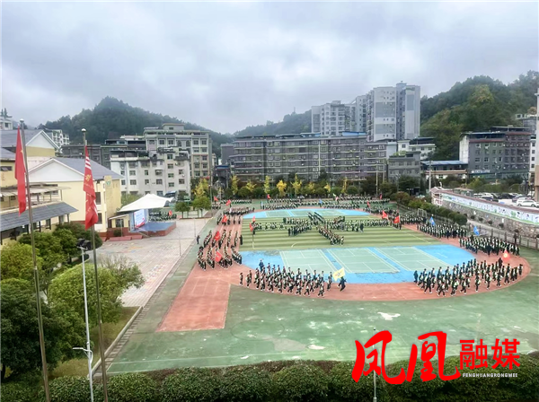 图片16.png 图片16.png