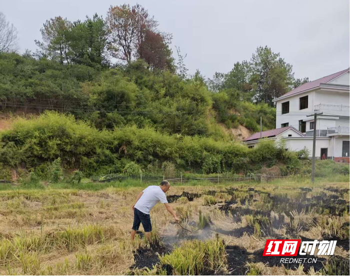 图片4.png 图片4.png