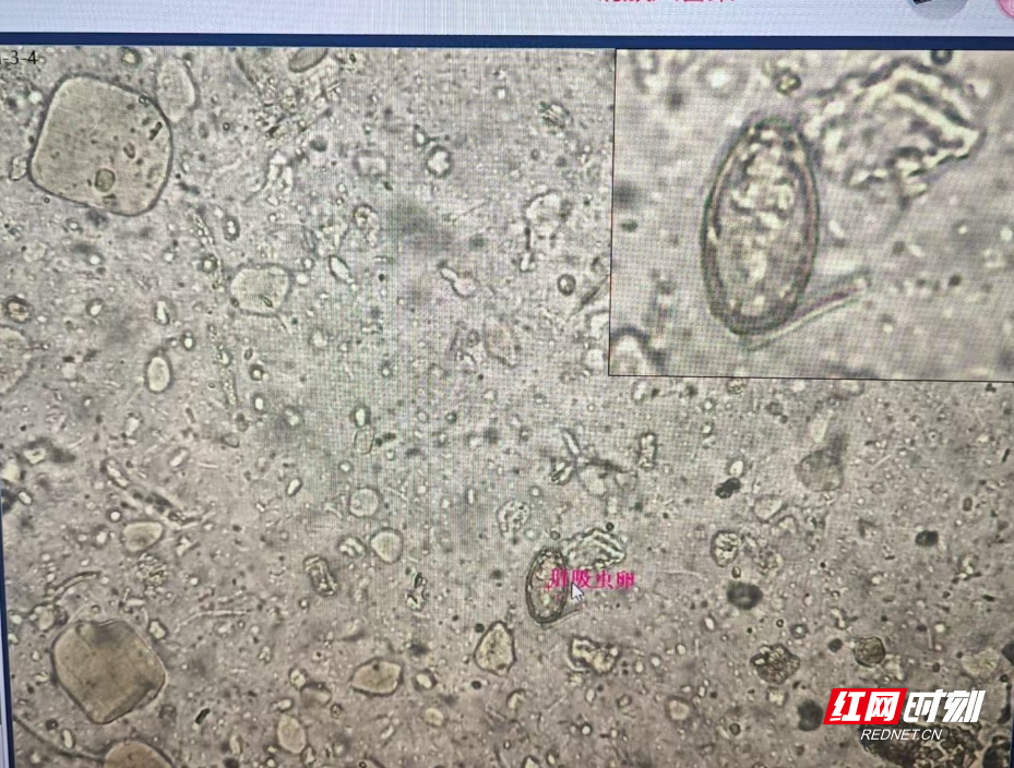 微信图片_20251106170926_74_608.jpg 微信图片_20251106170926_74_608.jpg