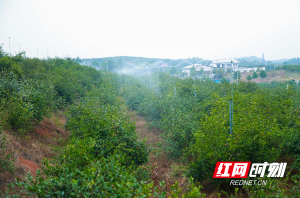 ScreenShot_2025-11-06_171443_588.jpg ScreenShot_2025-11-06_171443_588.jpg